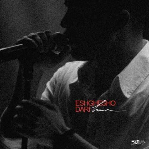 حامیم عشقشو داری - دانلود آهنگ جدید