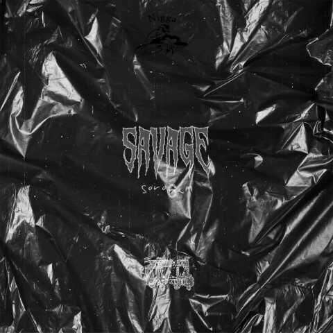 سروشم وحشی - دانلود آهنگ جدید