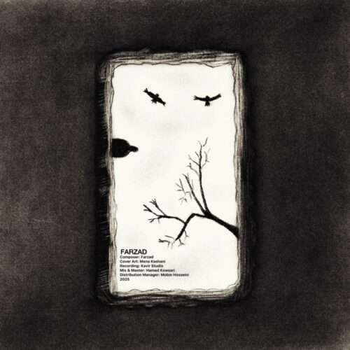 فرزاد شماره ۲ - دانلود آهنگ جدید