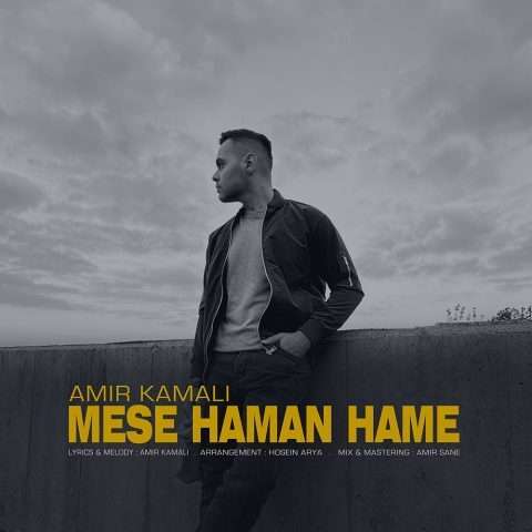 امیر کمالی مثل همن همه - دانلود آهنگ جدید