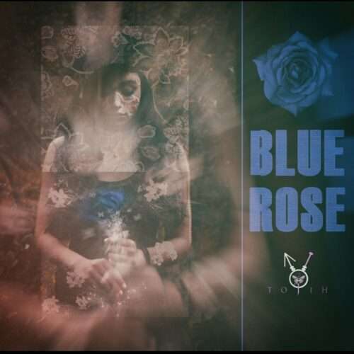 مسکوت رز ابی - دانلود آهنگ جدید