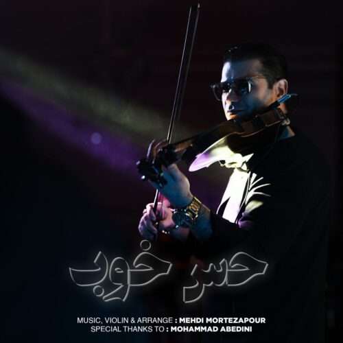 مهدی مرتضی پور حس خوب - دانلود آهنگ جدید