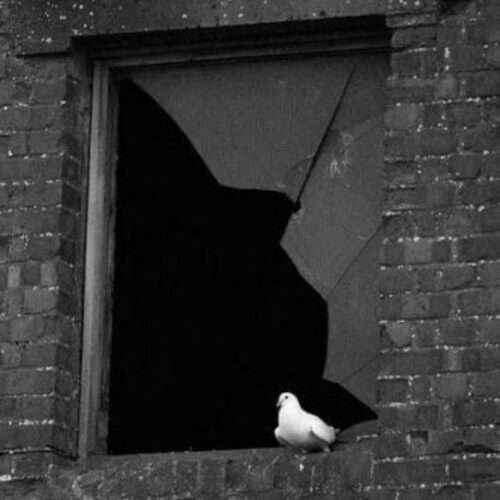 جواد سیلی - دانلود آهنگ جدید