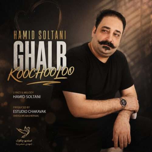 حمید سلطانی قلب کوچولو - دانلود آهنگ جدید