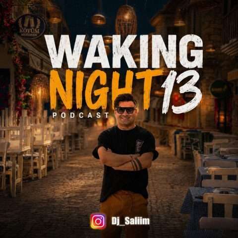 دیجی سلیم Waking Night 13 - دانلود آهنگ جدید