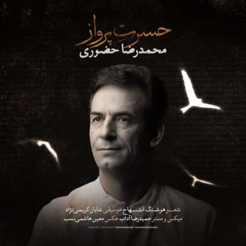 محمدرضا حضورى حسرت پرواز - دانلود آهنگ جدید
